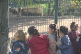 Hayvanat Bahçesi