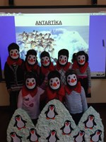 Ülke Tanıtımı Antartika