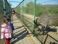 Hayvanat Bahçesi Gezisi